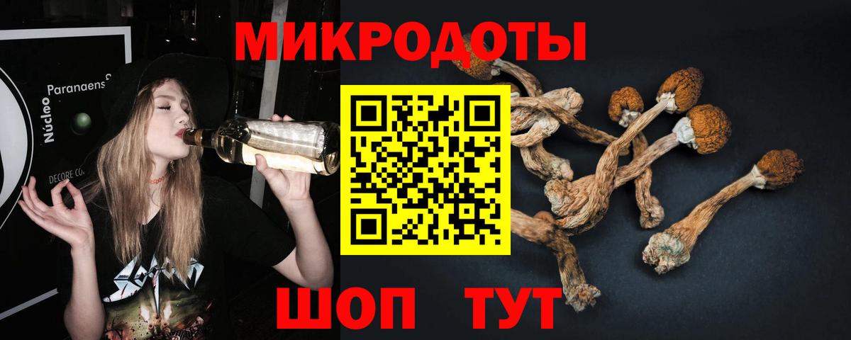 Галлюциногенные грибы Psilocybe  Вход с VPN  Галлюциногенные грибы Cubensis  Алексеевка 